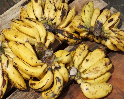Fresh ripe bananas on a wooden table